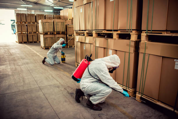 Best Flea Control Services  in North Kansas City, MO