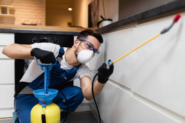 Best Pest Removal Services  in North Kansas City, MO
