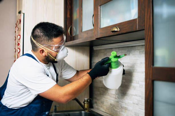 Best Cockroach Control Services  in North Kansas City, MO