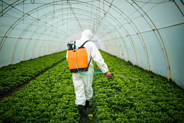 Reliable North Kansas City, MO Pest Control Solutions