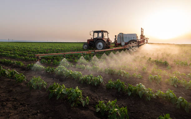Pest Control Cost in North Kansas City, MO
