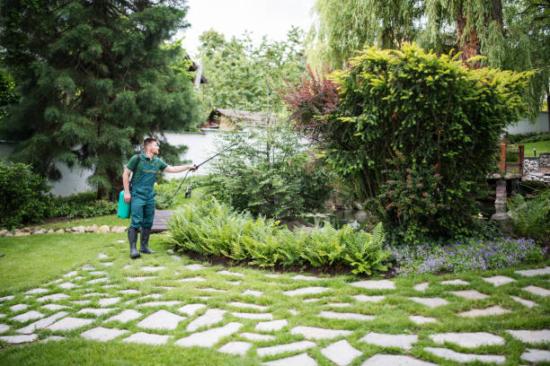 Best Residential Pest Control  in North Kansas City, MO