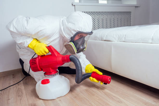 Best Emergency Pest Control  in North Kansas City, MO