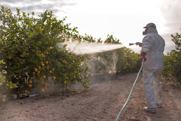 Best Pest Inspection Near Me  in North Kansas City, MO