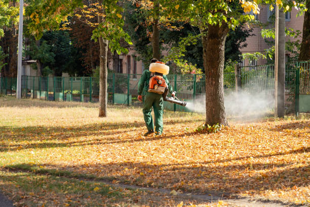 Wildlife Control Services in North Kansas City, MO