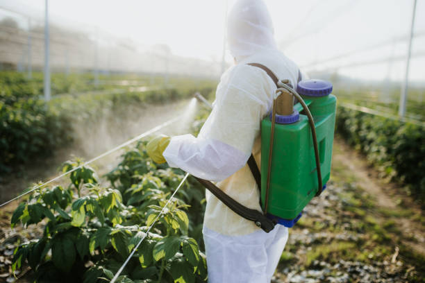 Best Best Pest Control Companies  in North Kansas City, MO